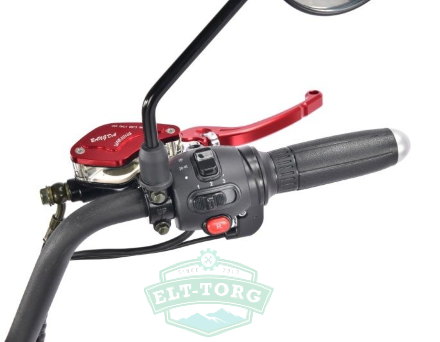 Электроскутер Citycoco WS Pro+ 2500W