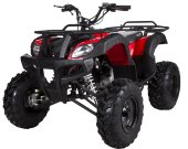 Квадроцикл YACOTA SELA Квадроцикл YACOTA SELA