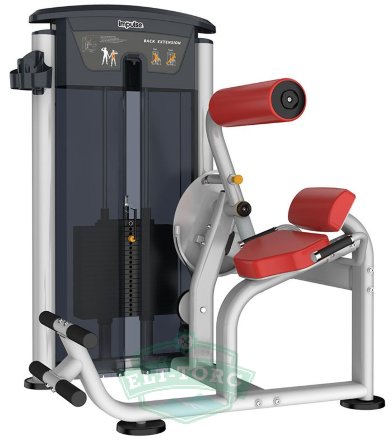 Aerofit IT9532 Разгибание спины