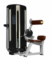 BRONZE GYM MNM-009 Разгибание спины