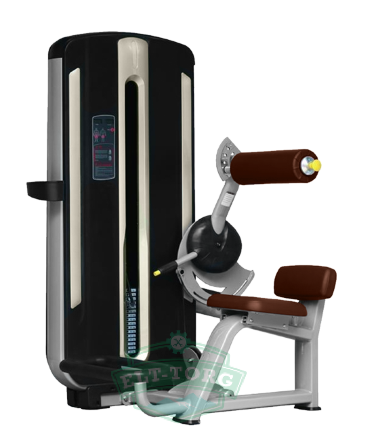BRONZE GYM MNM-009 Разгибание спины BRONZE GYM MNM-009 Разгибание спины