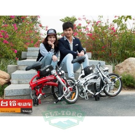 Электровелосипед TaiLG TDR 159Z 250W 36V8Ah
