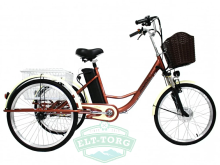 Электровелосипед GreenCamel Трайк-24 (R24 500W 48V 15Ah) Электровелосипед GreenCamel Трайк-24 (R24 500W 48V 15Ah)
