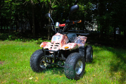 Электроквадроцикл MYTOY 750E дифференциал Электроквадроцикл MYTOY 750E дифференциал