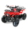 MOTAX ATV Mini Grizlik X-16 (мех.)