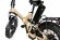Электровелосипед E-motions FAT all mountain double 2