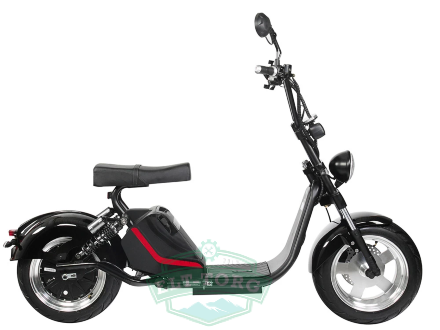 Электроскутер Citycoco SkyBoard BR70-2WD