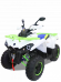 Квадроцикл MOTAX ATV Grizlik 200 New