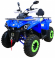 Квадроцикл MOTAX ATV Grizlik 200 New