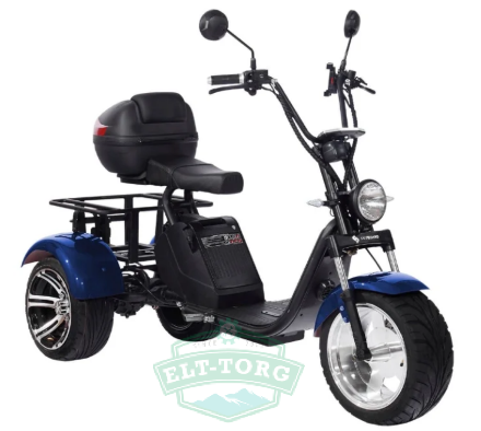 Электроскутер CityCoco SkyBoard Trike BR80 Электроскутер CityCoco SkyBoard Trike BR80