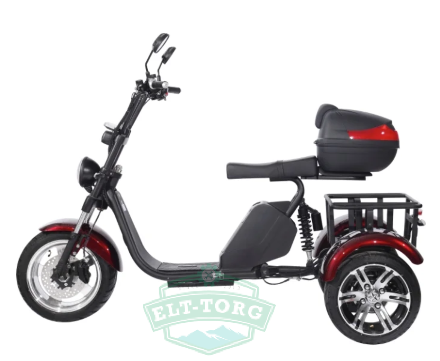 Электроскутер CityCoco SkyBoard Trike BR80 Электроскутер CityCoco SkyBoard Trike BR80