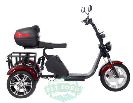 Электроскутер CityCoco SkyBoard Trike BR80 Электроскутер CityCoco SkyBoard Trike BR80