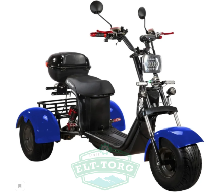 Электроскутер CityCoco SkyBoard Trike BR40-3000 