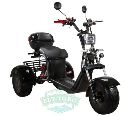 Электроскутер CityCoco SkyBoard Trike BR40-3000 