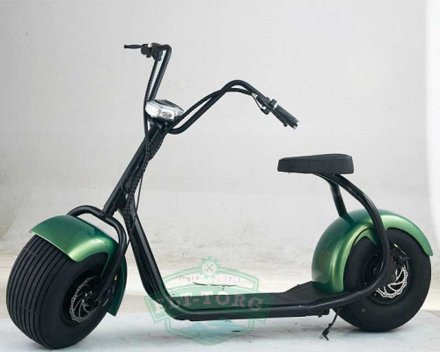 EL-Sport Classic Citycoco 1000W (60V/12Ah) зелёный