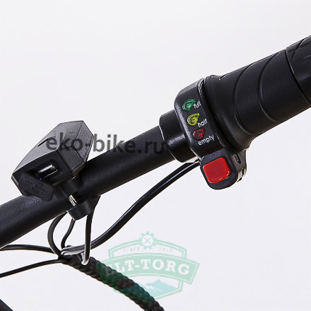 Электровелосипед Elbike Galant St 250W 