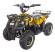 Квадроцикл GreenCamel Гоби K40 (36V 800W R6 Цепной привод)