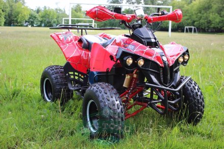 Электроквадроцикл MYTOY 1000D 1000 W Красный паук