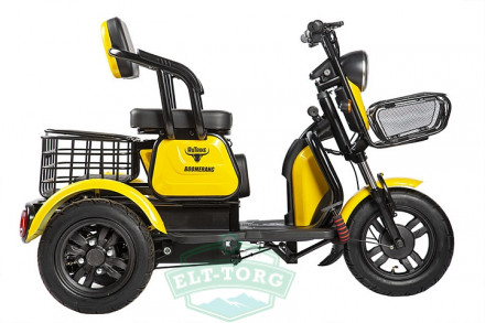 Электротрицикл Rutrike Бумеранг 1 Электротрицикл Rutrike Бумеранг 1