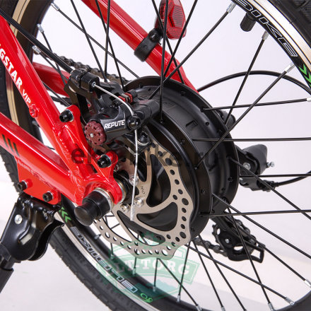 Велогибрид дорожный Elbike Gangstar Vip 500W 
