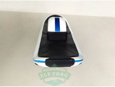 Электроскейтборд Ecodrift Hoverboard Elite 500W Электроскейтборд Ecodrift Hoverboard Elite 500W