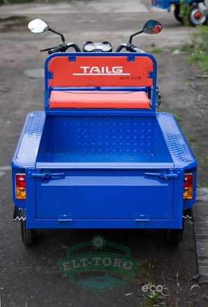 Электротрицикл TaiLG TL650DQZ-55Z Синий original Электротрицикл TaiLG TL650DQZ-55Z Синий original