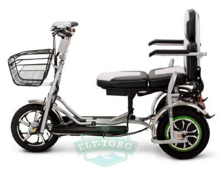 Трехколесный электроскутер Wellness Adjutant Maxi 600W 48V 20Ah