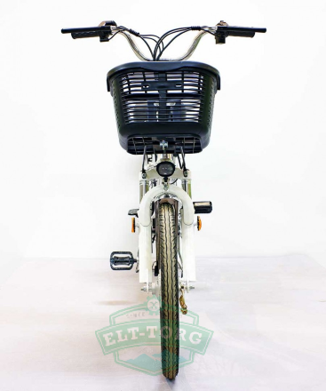 Электровелосипед GreenCamel Транк-20 (R20 350W 48V) Электровелосипед GreenCamel Транк-20 (R20 350W 48V)