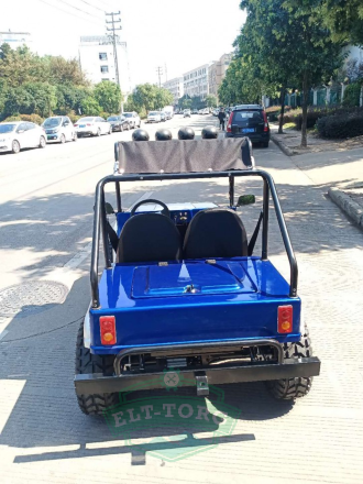 Электромобиль GreenCamel Джип (60V 1500W R8 Дифференциал) Электромобиль GreenCamel Джип (60V 1500W R8 Дифференциал)