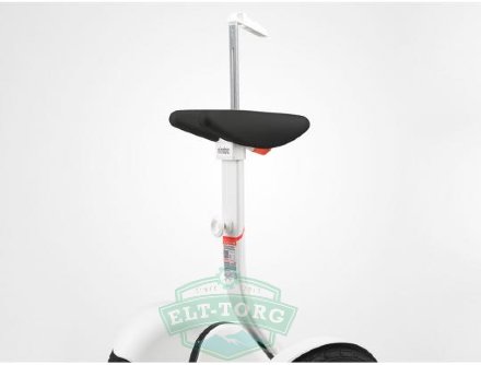 Мини сeгвей Ninebot Mini Pro 800W (белый)