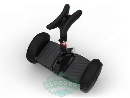 Мини сeгвей Ninebot Mini Pro 800W (черный)