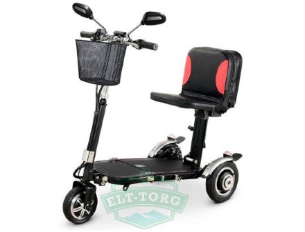 Электротрицикл Mini Trike Pro