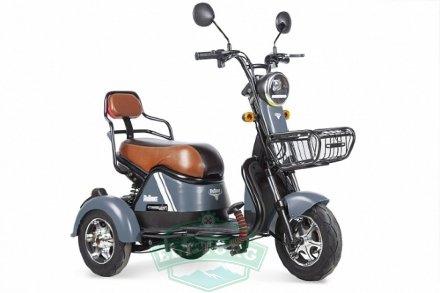 Электротрицикл Rutrike Шкипер